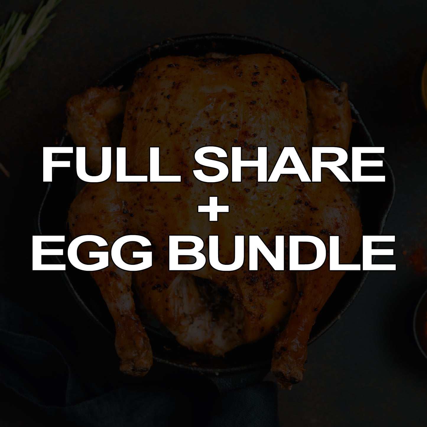 Chicken CSA FULL SHARE + EGGS