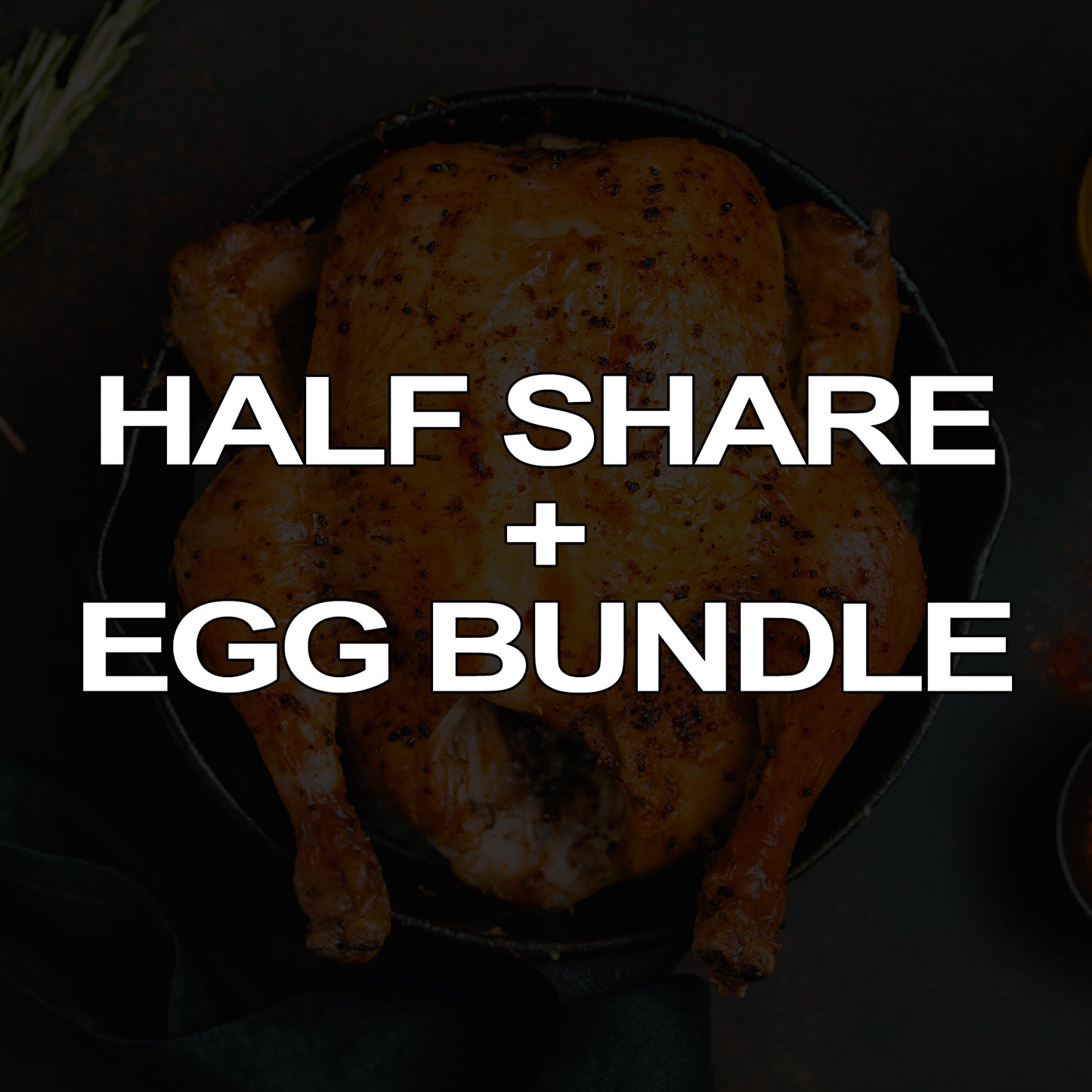 Chicken CSA HALF SHARE + EGGS