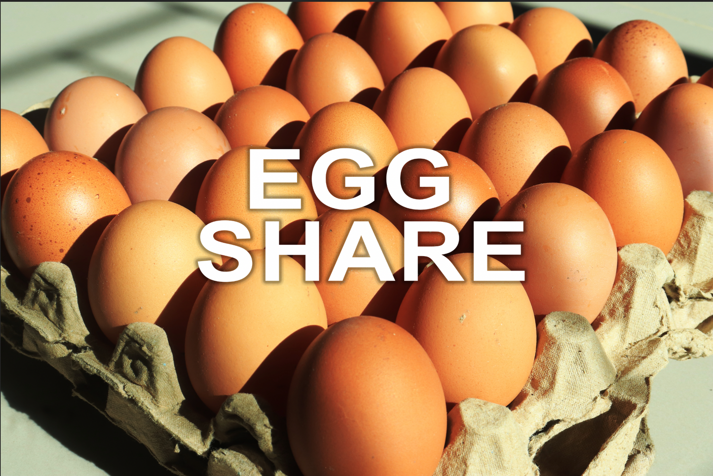 Egg Share